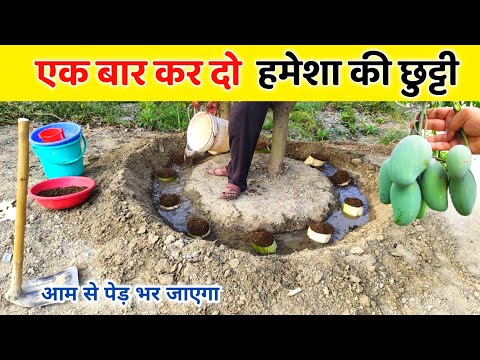 वीडियो: कितने लोग हर साल पेरू जाते हैं