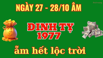 Đinh Tỵ 1977 - NGÀY 27 - 28/10 ÂM: THẦN TÀI ĐẾN NHÀ! TIỀN VỀ NHƯ MƯA, TIN VUI LỚN