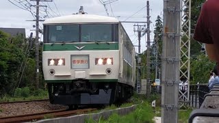 １８５系快速鎌倉あじさい号鎌倉行き2021年運行終了