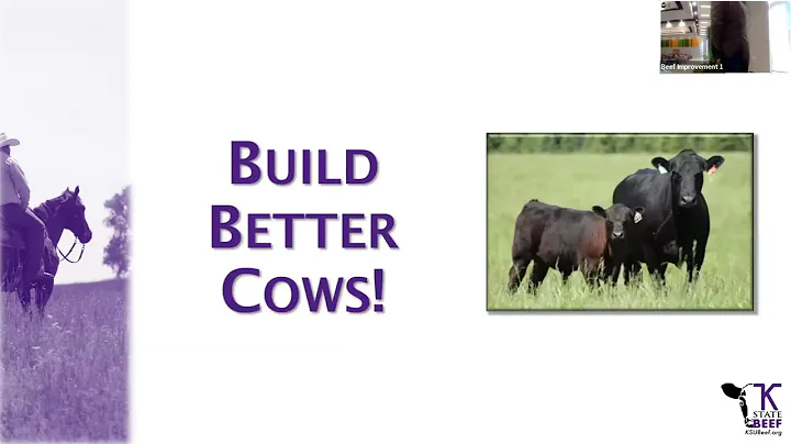 2024 BIF General Session I - Cow Longevity: Economics & Genetic Solutions - Rick Machen & Bob Weaber