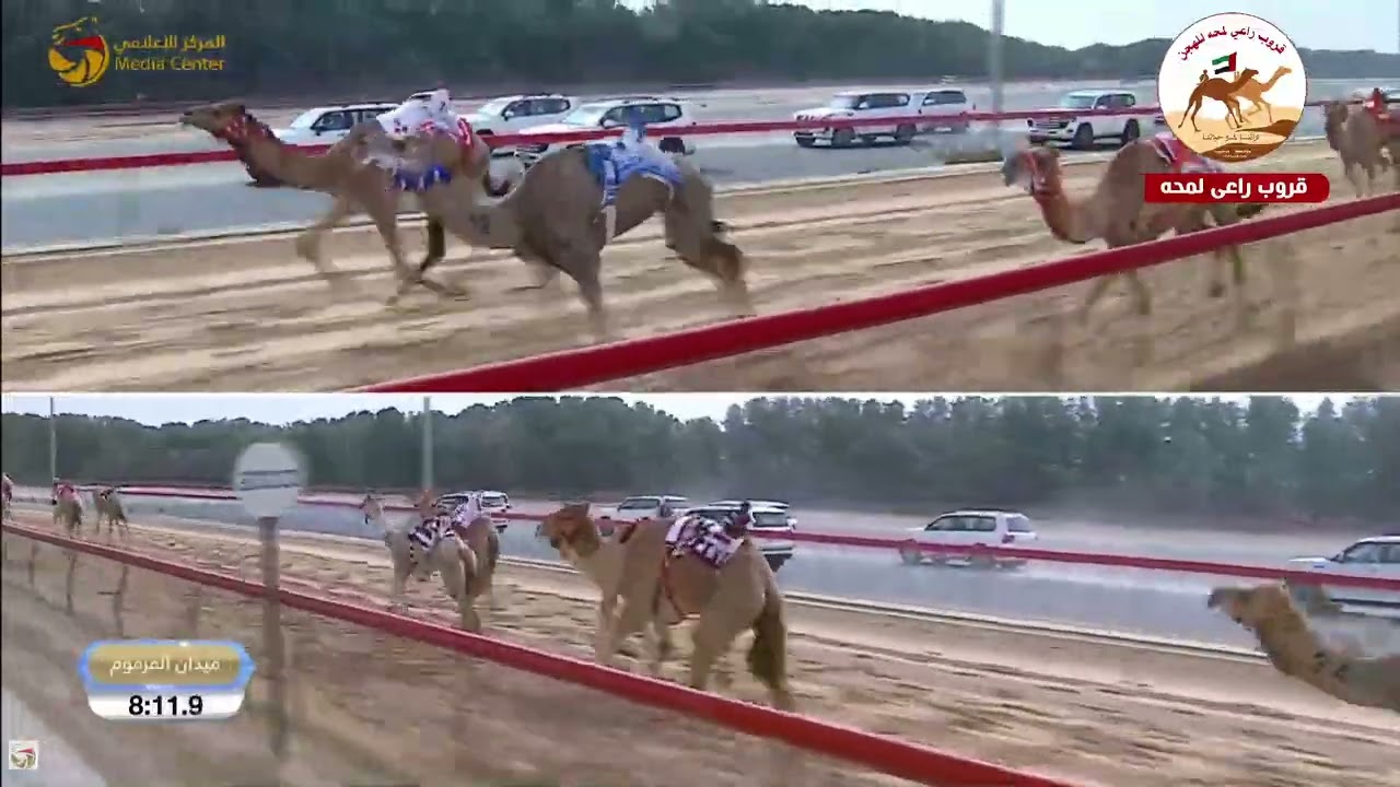 الشوط 5 ..الوسمية لـ حمد محمد سالم الوهيبي 12:38:1( تمهيدي المرموم 2026 )