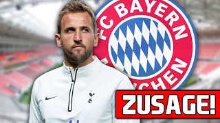 Zusage! Harry Kane vor MEGA-Transfer zum FC Bayern! Alle Infos!