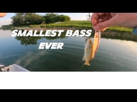 day of bass fishing