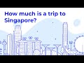How much is a trip to Singapore?