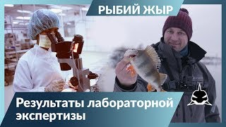 МОЖНО ЛИ ЕСТЬ РЫБУ ИЗ МОСКВА-РЕКИ?!   Рыбий жЫр 6 сезон.