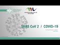 SARS COV-2 COVID-19