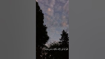 تلاوه رائعه وجميله تلامس القلب 😩🌸🤍