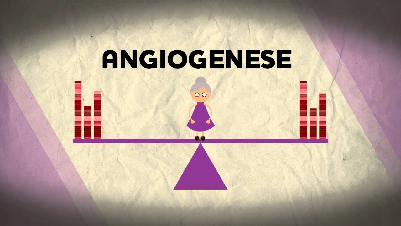 Lernen Science Of Amd