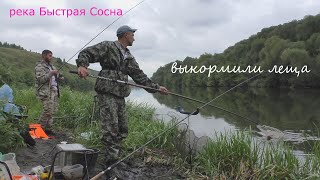 Лещи на реке Быстрая Сосна!