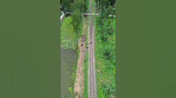 2s Signal Arm. #signal #arm #shorts