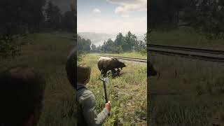 Mastering Survival Skill in Red Dead Redemption 2 #rdr2 #survivaltips #gamingshorts #gaming  #shorts