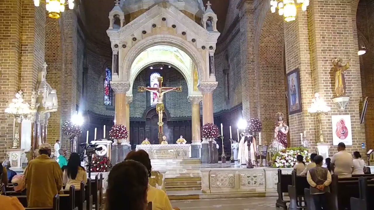 Tú reinarás | Órgano Walcker Catedral de Medellin 2021