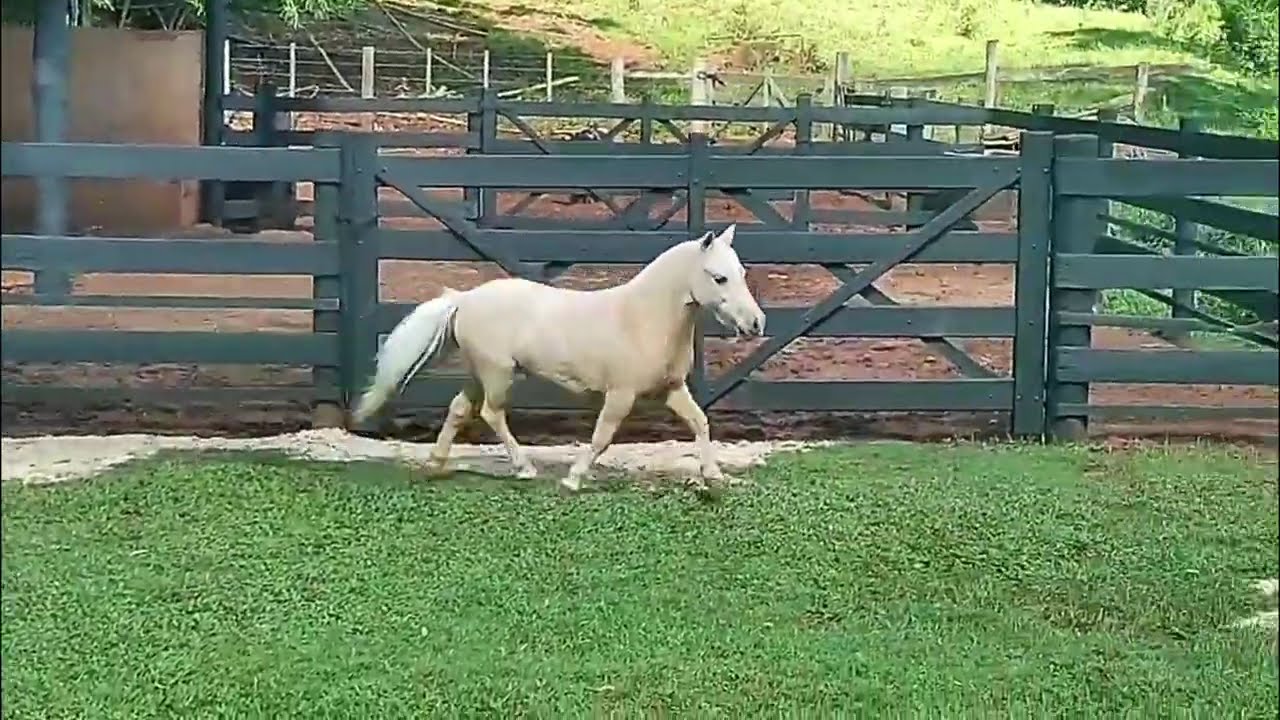 20  Vivenda do Sarsndi