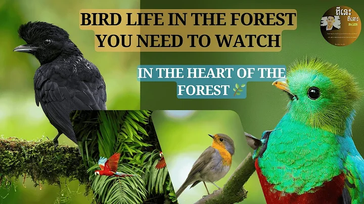 World of the Wild | Episode 1  The Amazon Rainforest | Free Documentary Nature