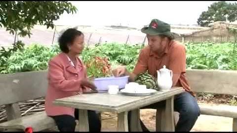 CHẠO BÔNG ATISO ĐÀ LẠT