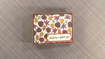 Mini Envelope Album Video Tour with Quick Page Tutorial