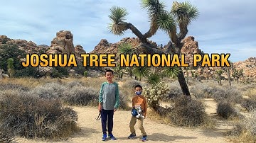 Joshua Tree National Park Quick Escape: Top 5 Things To Do at Joshua Tree