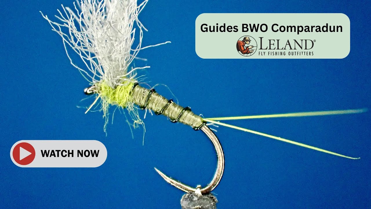 🎣 Master the BWO Comparadun: Your Ultimate Fly Tying Tutorial! 🪰