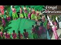 Pongal celebrations 2021 sankranti celebrationfestival celebrations