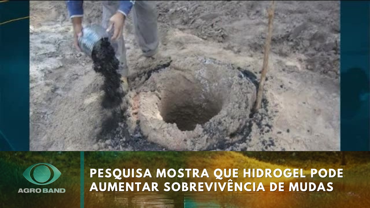 Giro Brasil: pesquisa mostra que hidrogel pode aumentar sobrevivência de mudas | Agro Band