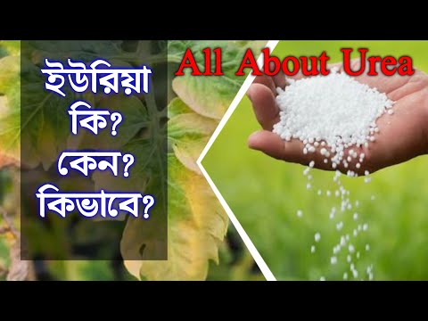 ভিডিও: ইউরিয়া কি?