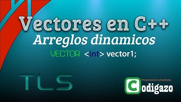 Que son vectores en C++ (con ejemplos)