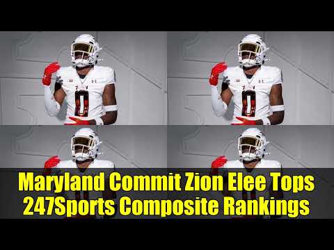 Terps 247