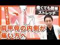 【肩甲骨の内側が痛くて悩んでいる方へ】痛くても簡単ストレッチ