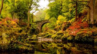 Relaxing Celtic Music | Foley Bridge | Beautiful Irish Flute & Guitar
