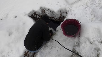 Jetting a Blocked Drain Field Seems to Have Worked!