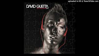 David Guetta - Love Don't Let Me Go (Instrumental)