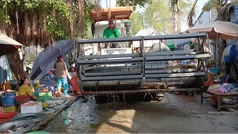máy cắt lúa 105 độ bánh 9 chạy vào chợ cá ra ruộng cắt lúa rất nhanh tập 3#maibangtv
