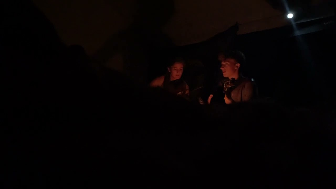 Clifftop 2024 - Down in the Willow Garden