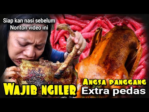 Video: Cara Membuat Umpan Angsa Sendiri