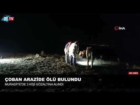 Muradiye'de çoban arazide ölü bulundu, 3 kişi gözaltına alındı