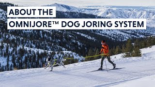 Omnijore™ Dog Joring System | Skijoring, Bikejoring & Canicross