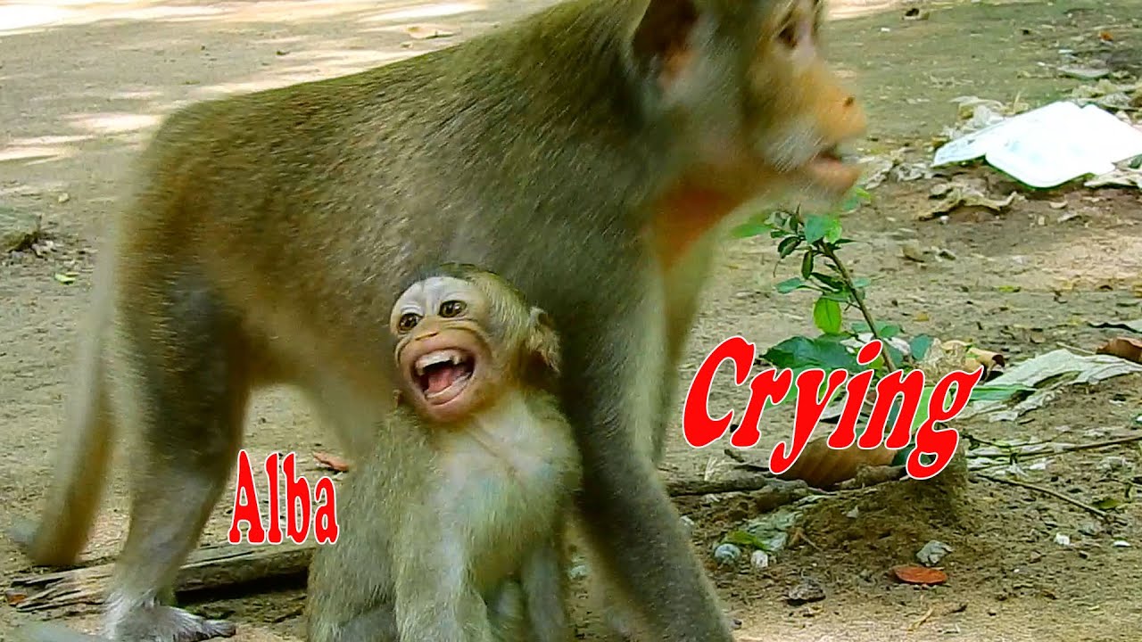 Tiny baby Alba was scared, Mum Anna and Aron help baby Alba