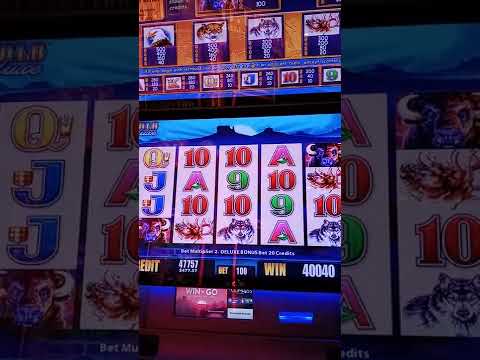 POV ur a chance in a gambling world