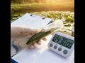 Nutrition and Gut Transit Times in Tench at Summer Temps