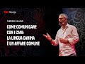 Come comunicare con i cani: la lingua canina è un affare comune | Fabrizio Collovà | TEDxRovigo