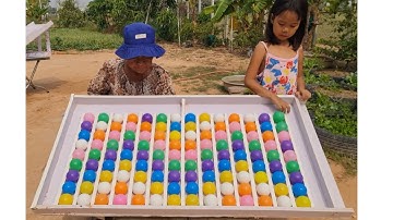 Ball Sort Puzzle Mastery: Become a Sorting Genius