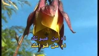 Arabic Karaoke: Abed El Halim Hafez   Bayni W Baynak