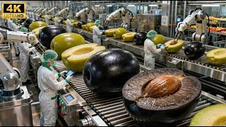 Inside a Modern Olive Fruit Factory: From Fresh Olives to Cold-Pressed Olive Paste (Full Process)
