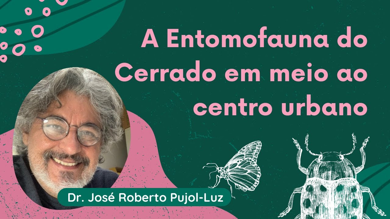 Palestra - Entomofauna do Cerrado em meio ao Centro Urbano