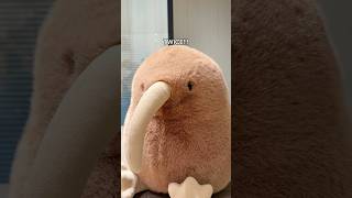 #kiwibird #plushtoys #cutegiftideas #plushies #toys #duoaiplushtoys #originaldesign