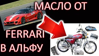 МОПЕД АЛЬФА, ГОТОВИМСЯ К НОВОМУ СЕЗОНУ / Масло 10W-60 Racing в альфу. Прохват по огороду))