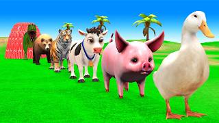 Long Slide Game with Colourful Duck Cow Tiger Gorilla Dog Elephant 3d Animal Game Funny 3d Animals screenshot 4