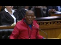Julius Malema during a Parliamentary debate on elections