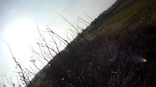 Multiplex Acro Master crash on tree