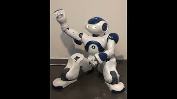 First steps in emotional expression of the humanoid robot Nao: Winner